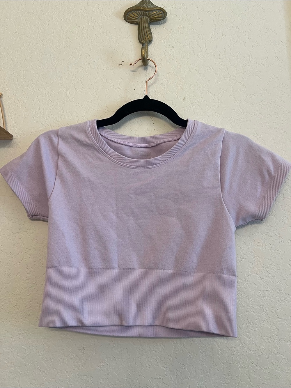 OFFLINE By Aerie Sidewalk Seamless Small Cropped shirt in a light lavender
